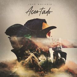 Cover of Acertado
