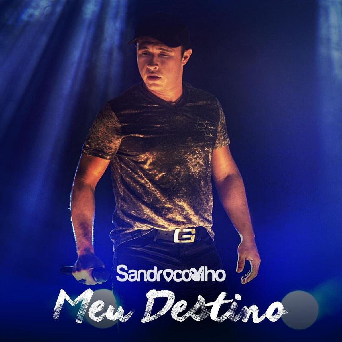 Album cover of Meu Destino (Ao Vivo)