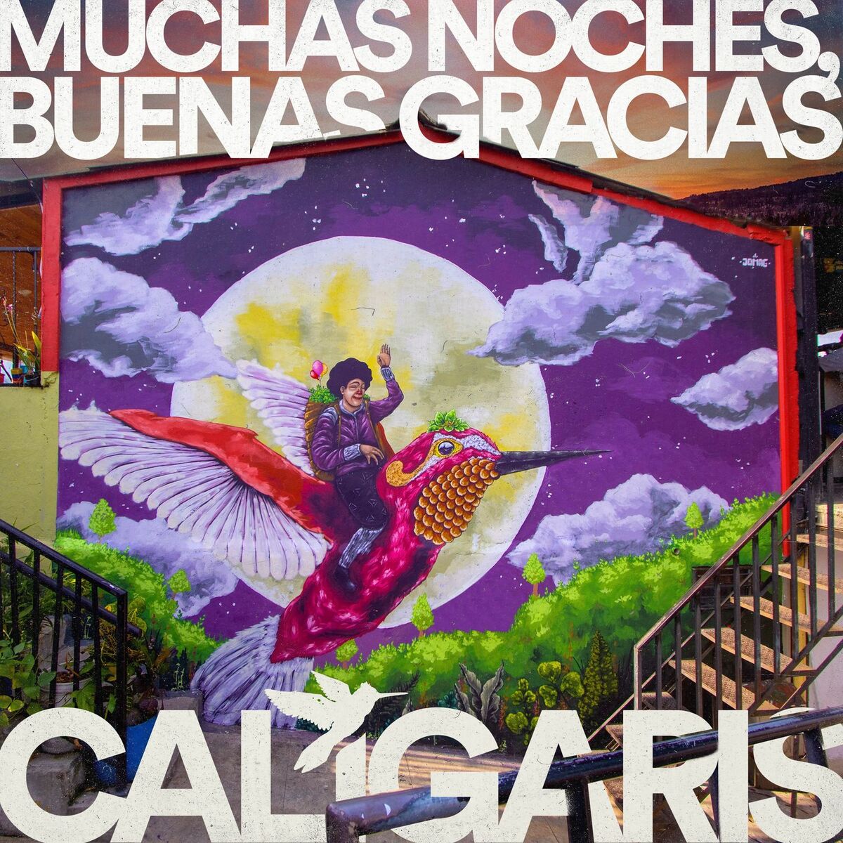 Album cover of Muchas Noches, Buenas Gracias