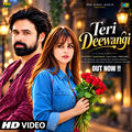 Teri Deewangi - PRG HINDI AUDIO