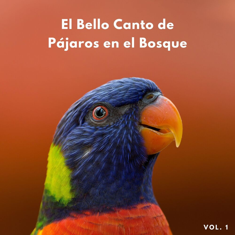 Picture of El Bello Canto De Pájaros En El Bosque Vol. 1