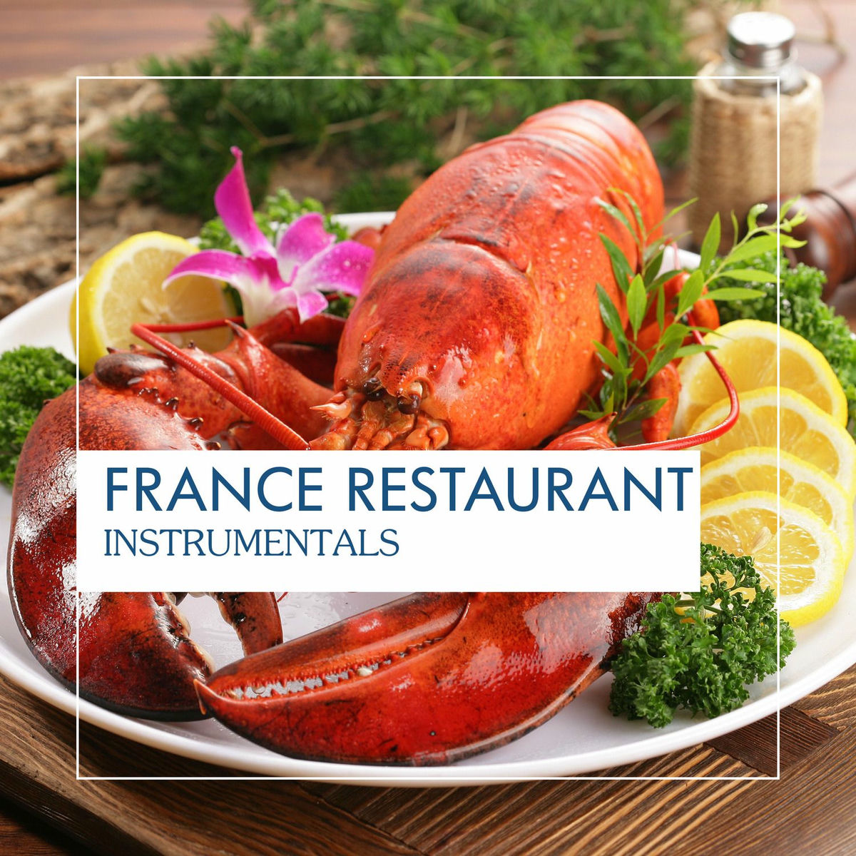 Album cover of France Restaurant Instrumentals