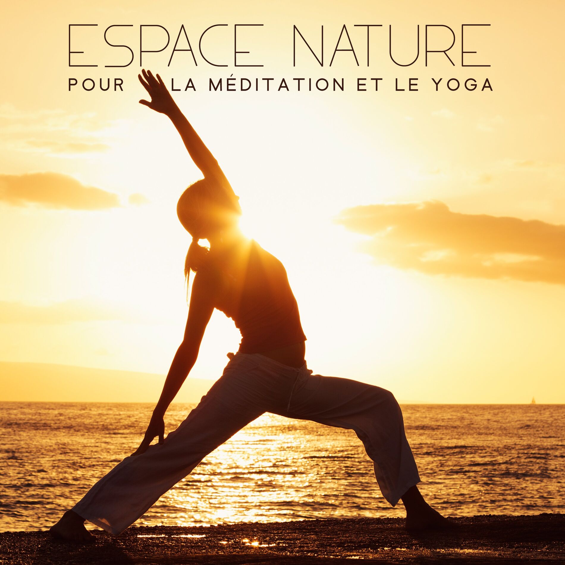 Album cover of Espace nature pour la méditation et le yoga: Compilation de sons New Age relaxants et paisibles