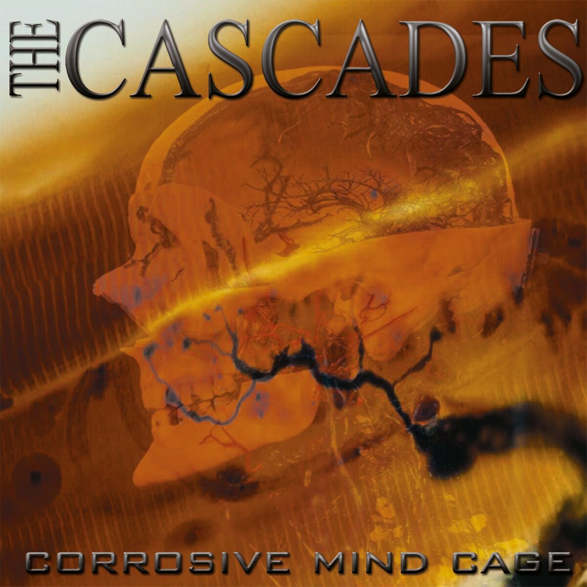 Album cover of Corrosive Mind Cage