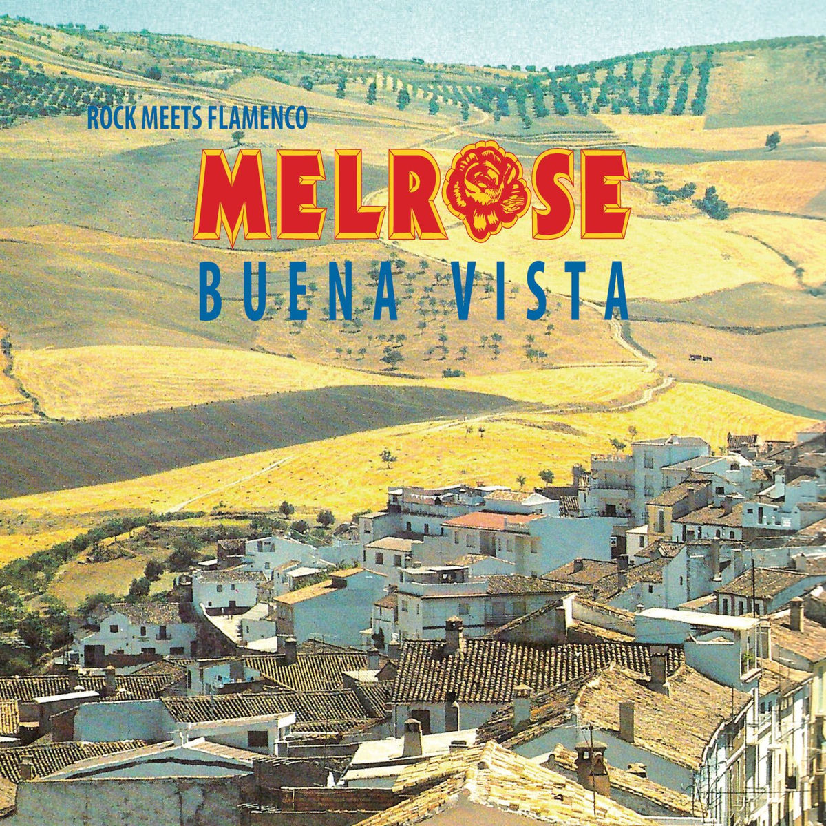 Album cover of Buena Vista