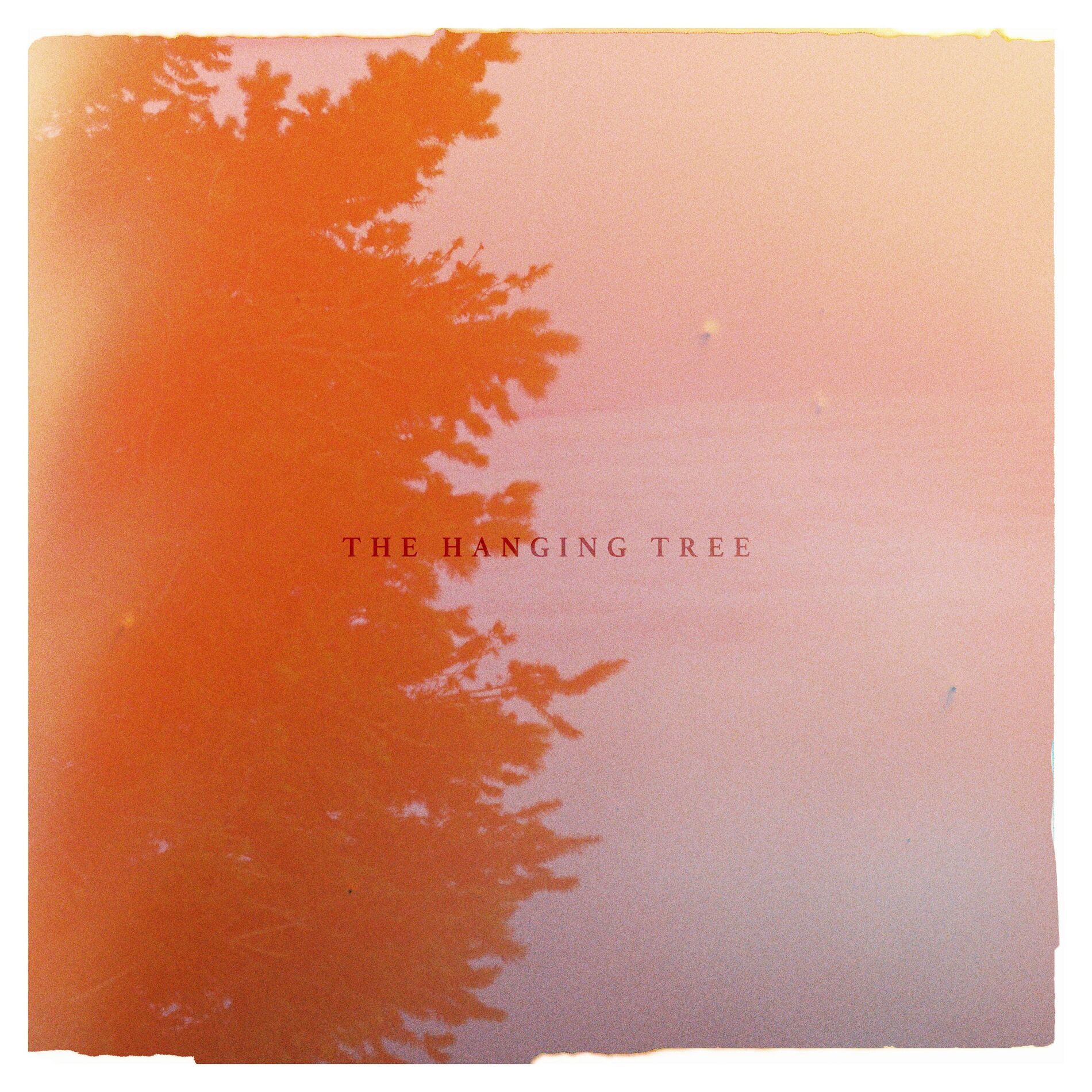 Album cover of The Hanging Tree