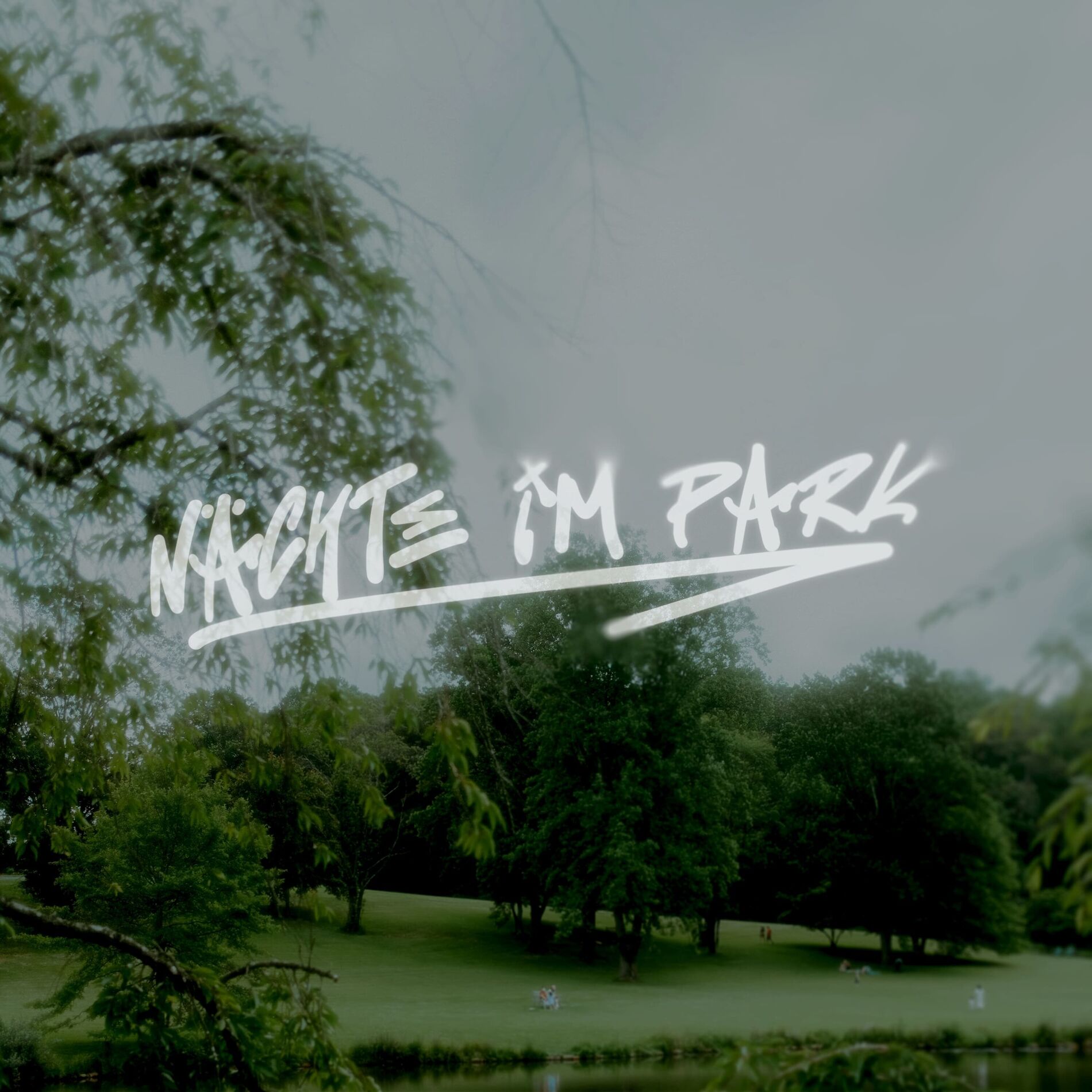 Album cover of Nächte im Park
