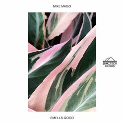 Cover of Smells Good