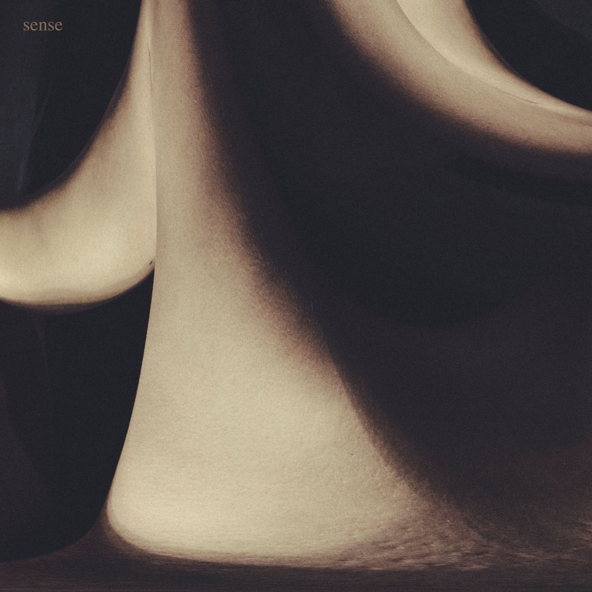 Album cover of sense