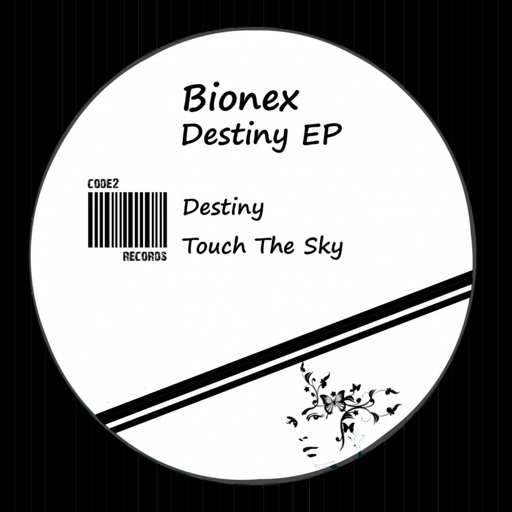 Picture of Destiny