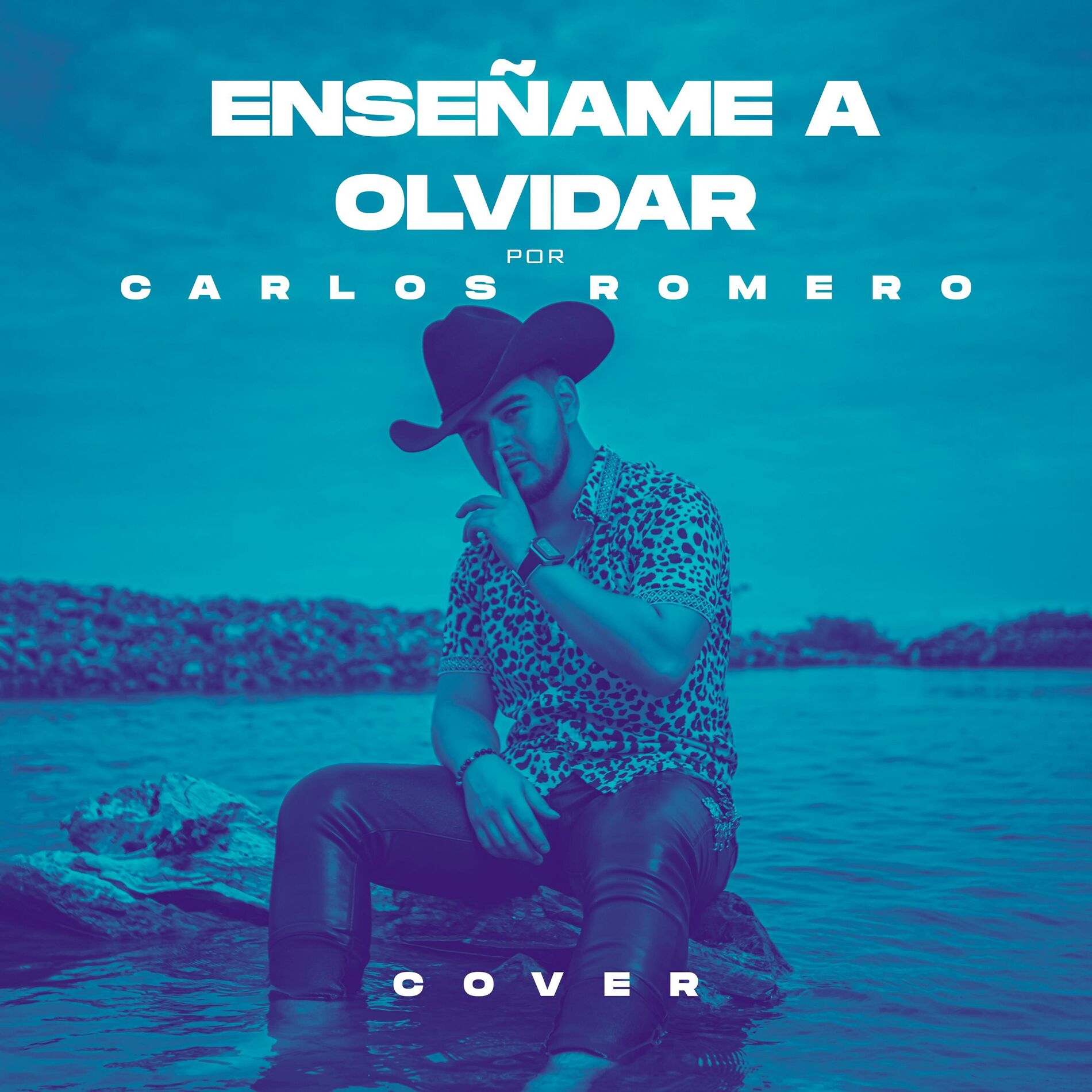 Album cover of Enseñame a olvidar
