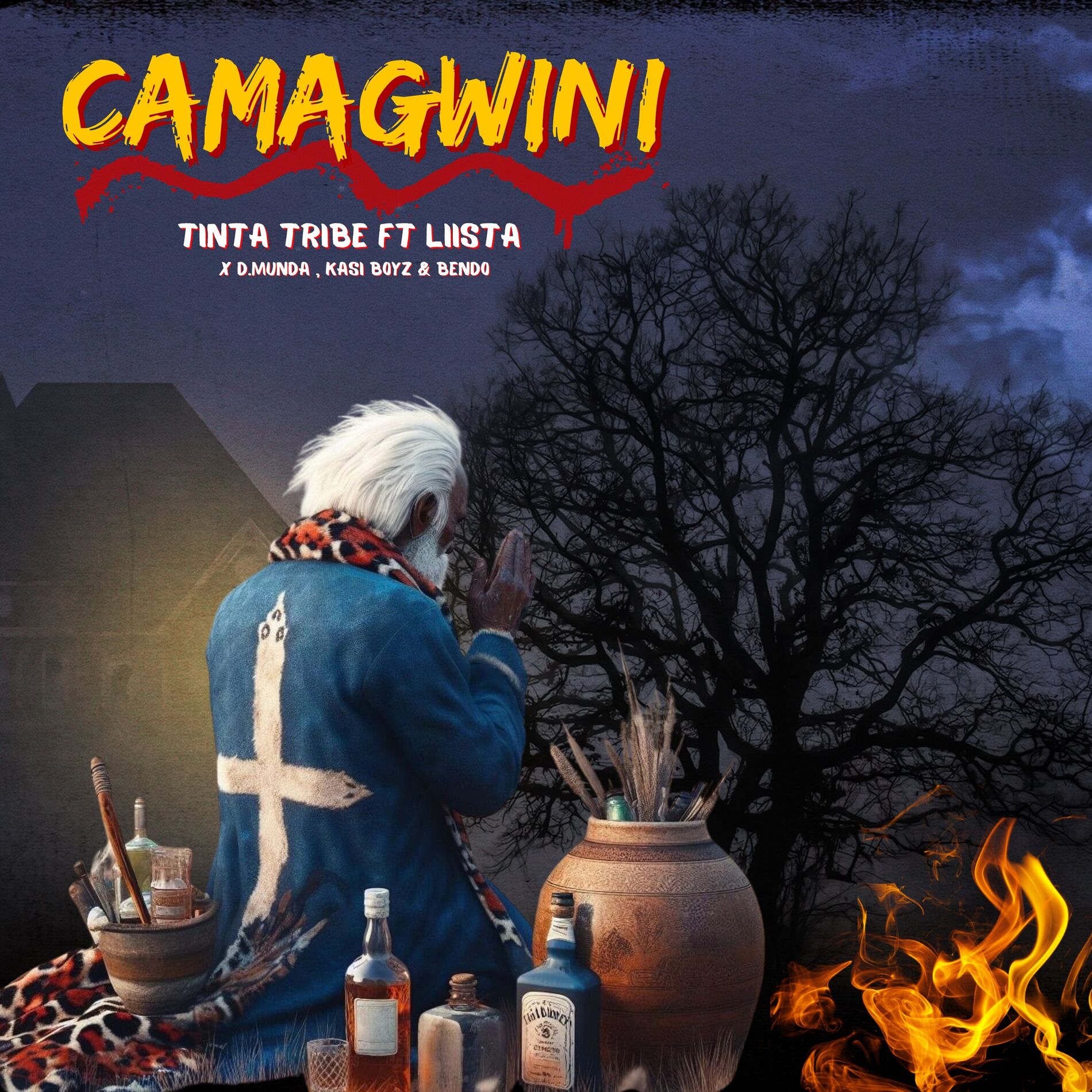 Album cover of Camagwini