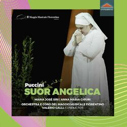 Cover of Puccini: Suor Angelica, SC 87 (Live)