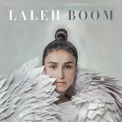 Cover of Boom