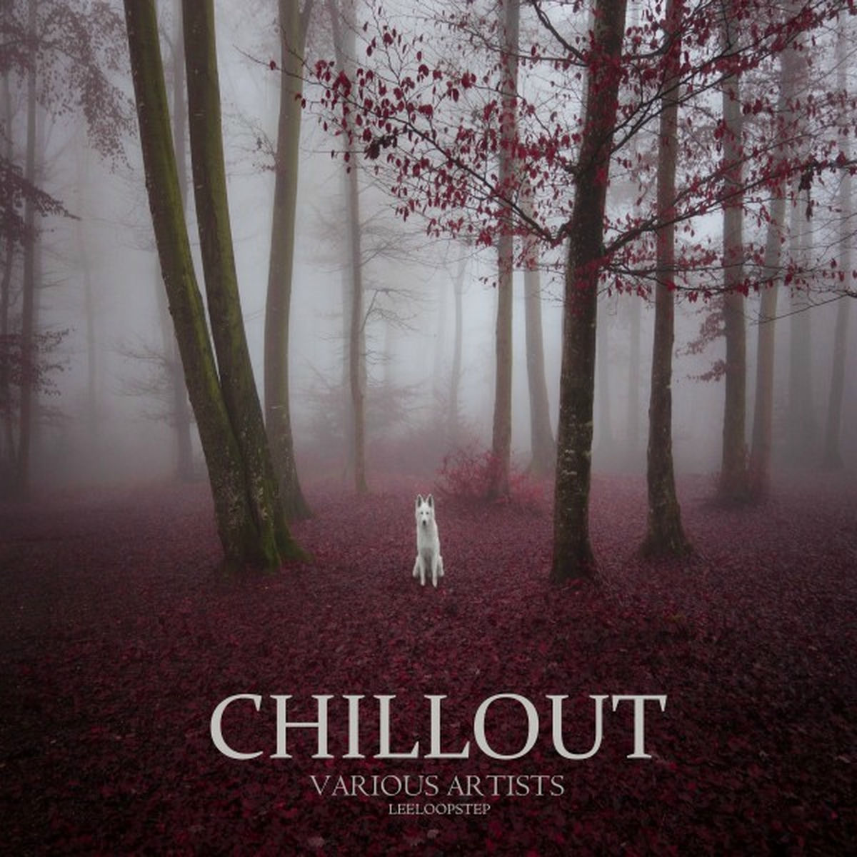 Album cover of Tannhauser Gate