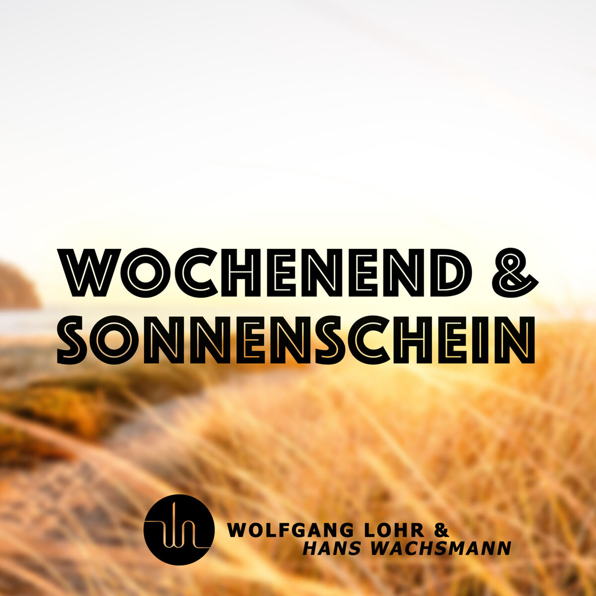 Album cover of Wochenend Und Sonnenschein (Electro Swing)