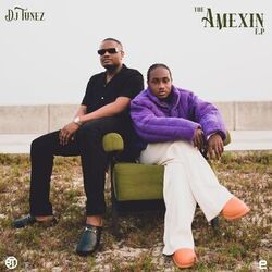 Cover of The "Amexin" EP