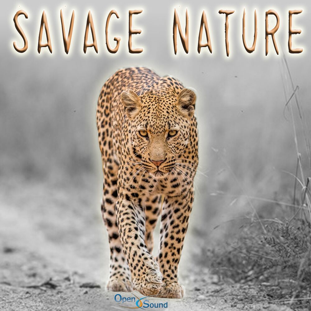 Picture of Savage Nature (Music for Movie)
