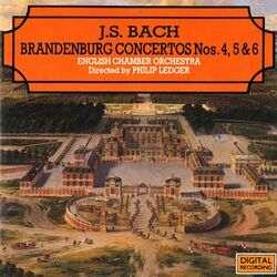 Cover of Bach: Brandenburg Concertos Nos. 4, 5 & 6
