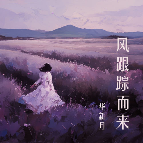 风跟踪而来