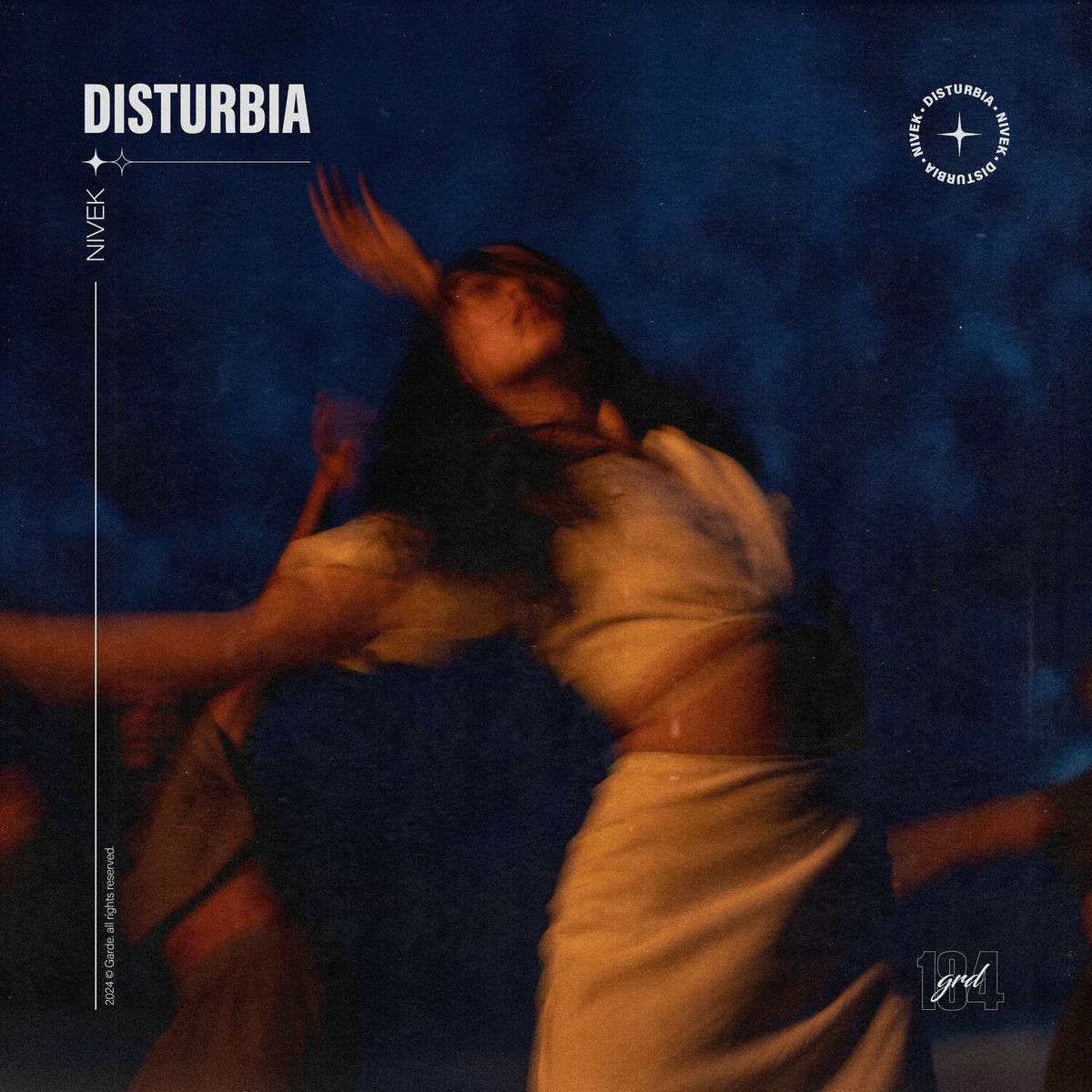 Album cover of Disturbia