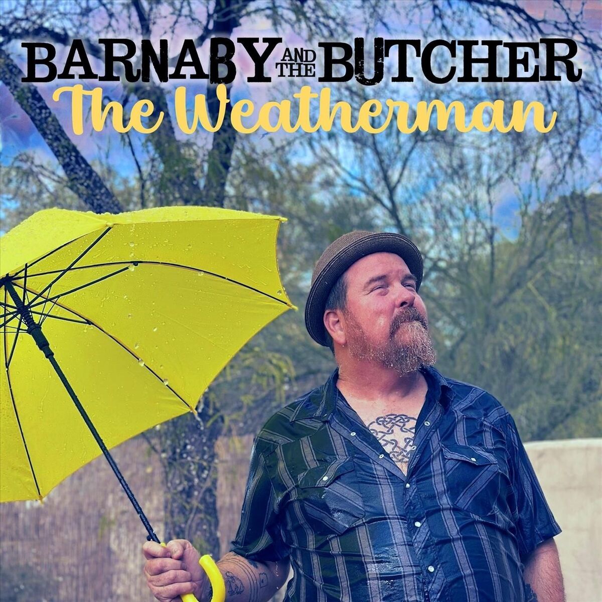 Album cover of The Weatherman