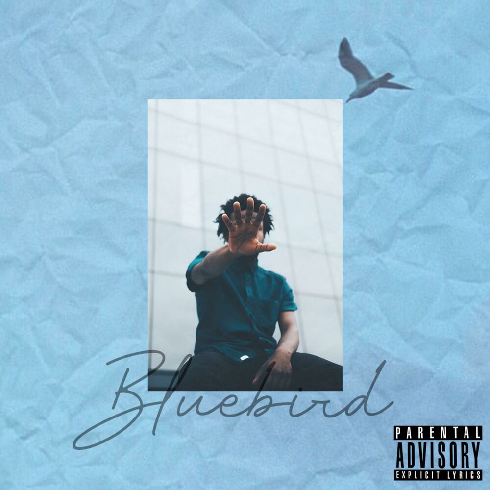 Picture of Bluebird