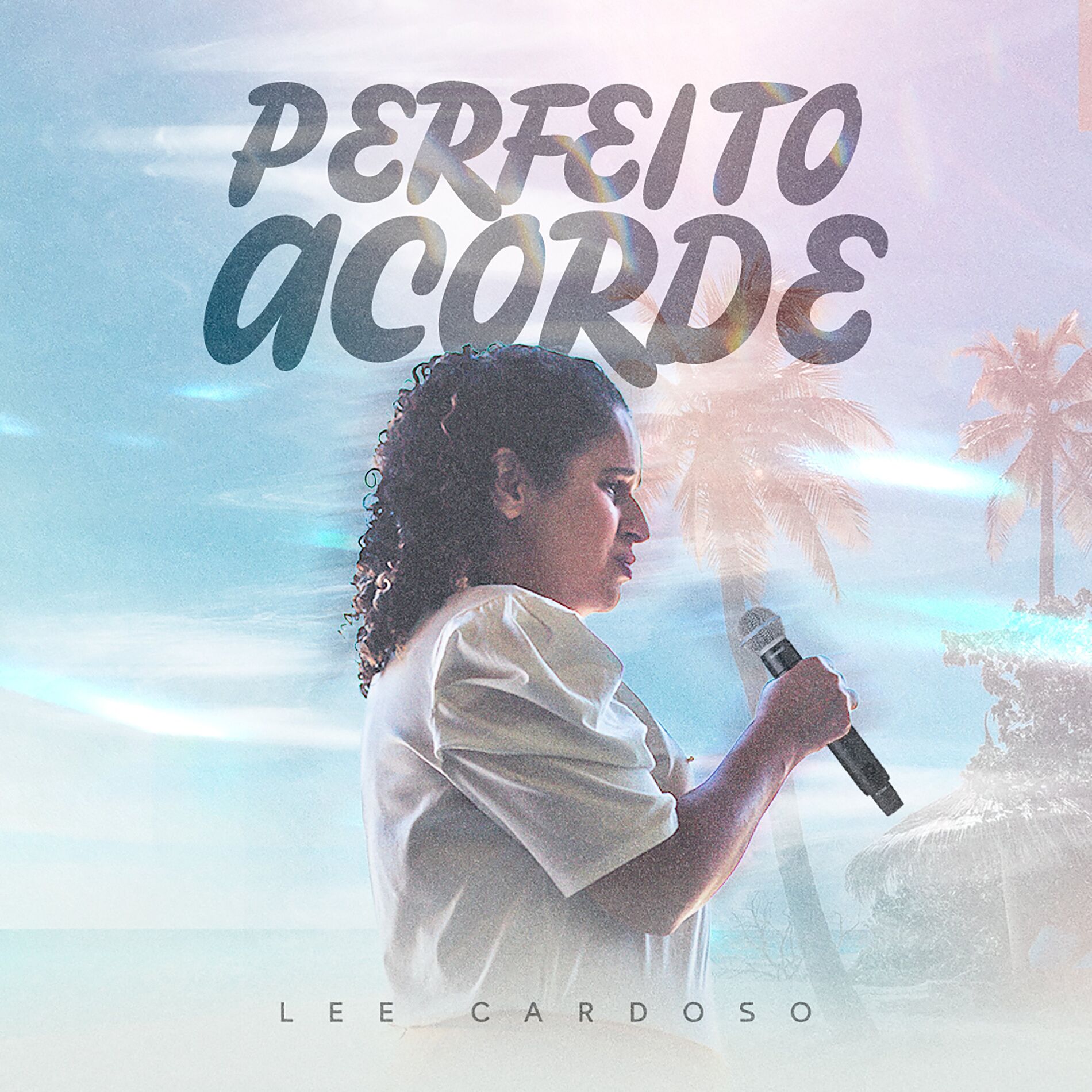 Album cover of Perfeito Acorde