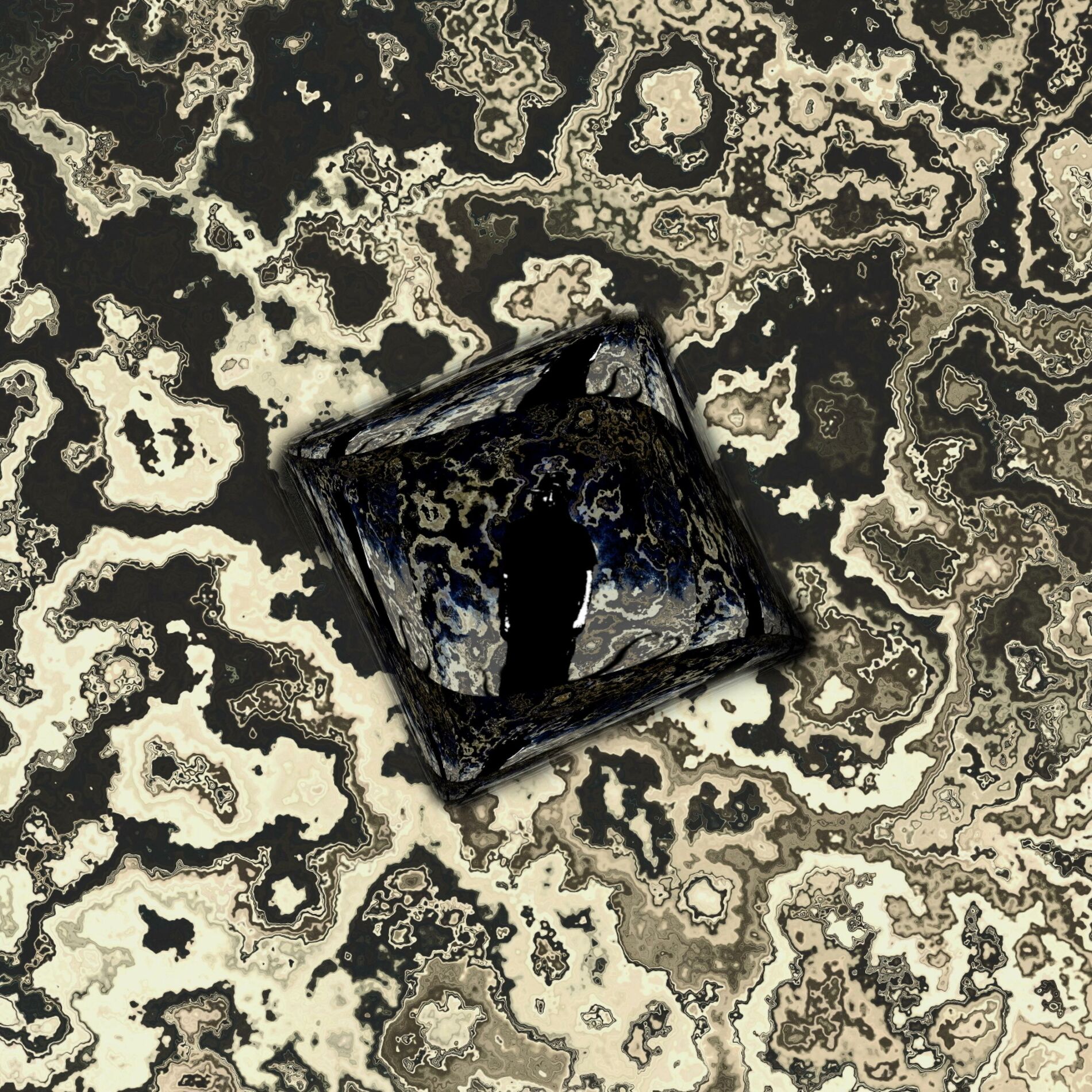 Album cover of Poly Esteem