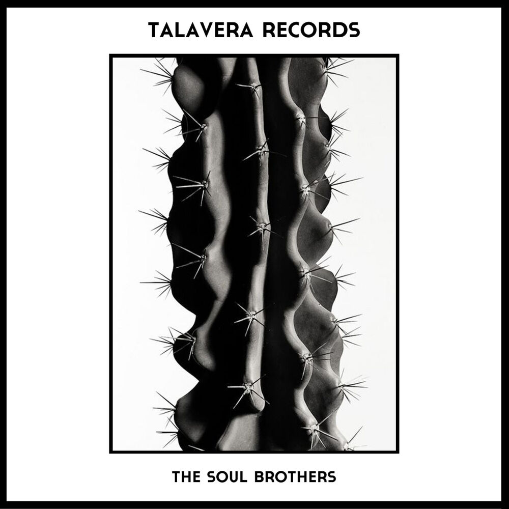 Picture of Talavera Records 08