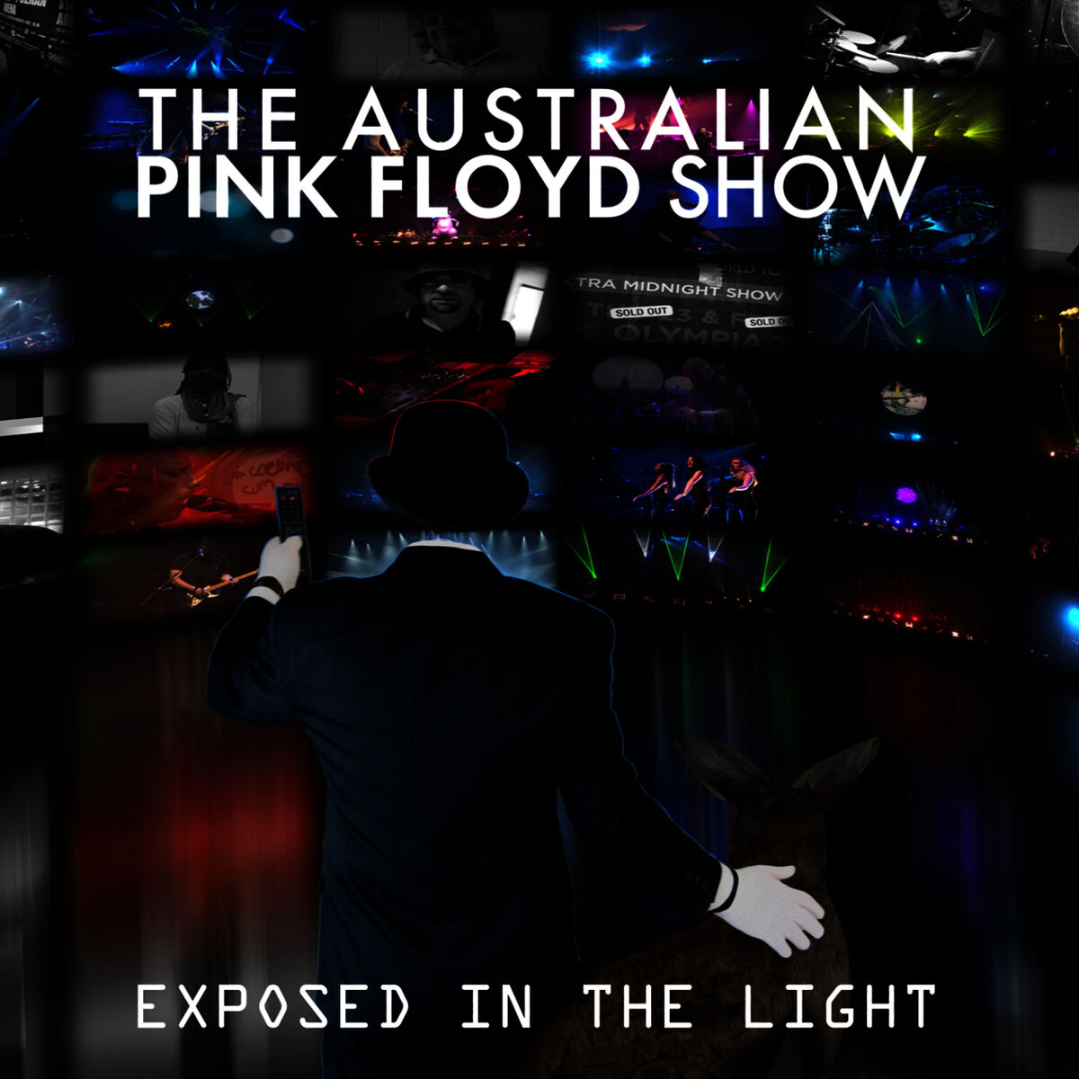 Album cover of Pigs (Three Different Ones)