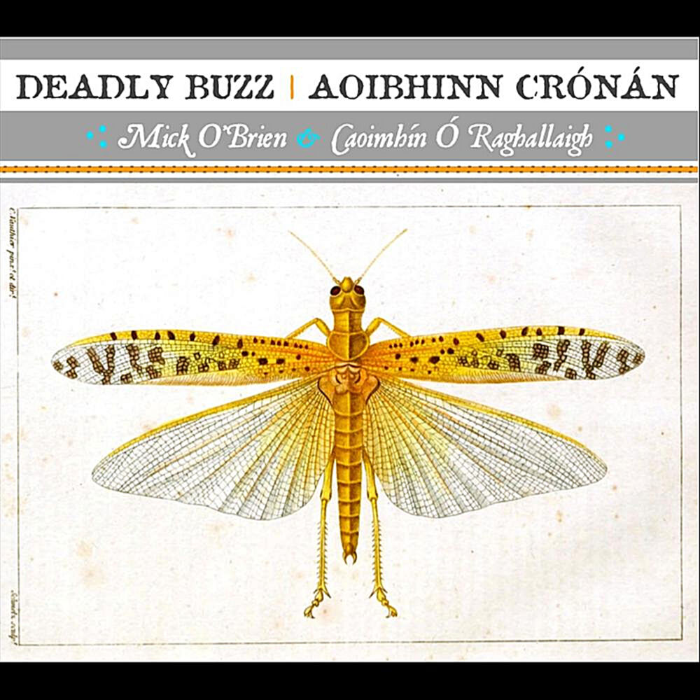Picture of Deadly Buzz | Aoibhinn Crónán