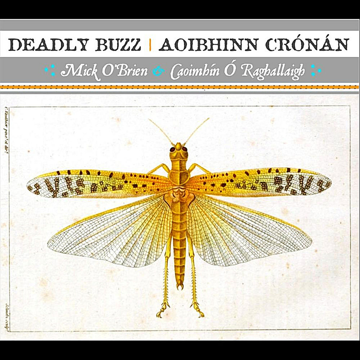 Album cover of Deadly Buzz | Aoibhinn Crónán