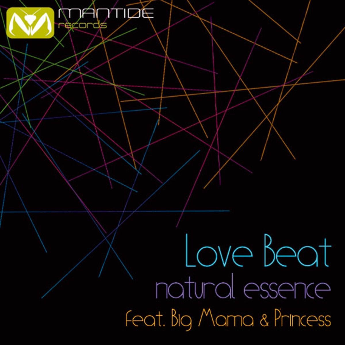 Album cover of Natural Essence