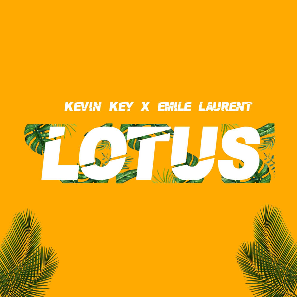 Picture of Lotus