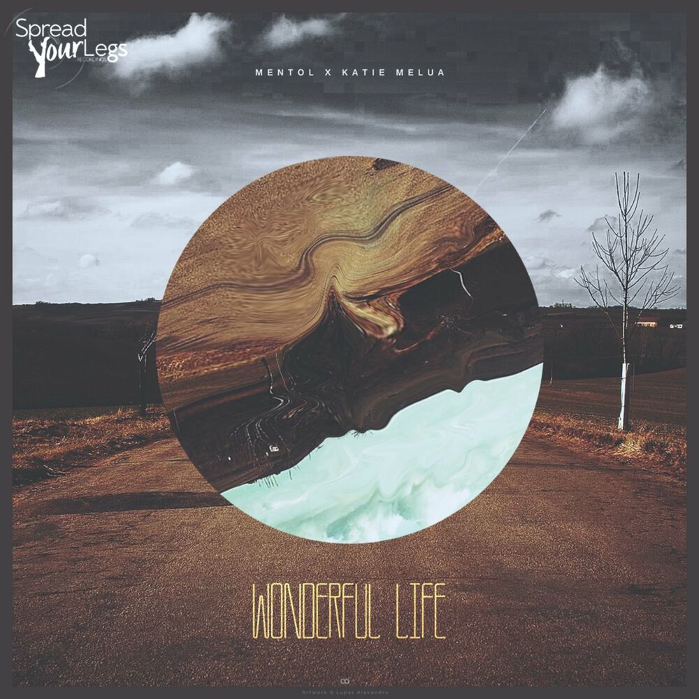 Picture of Wonderful Life