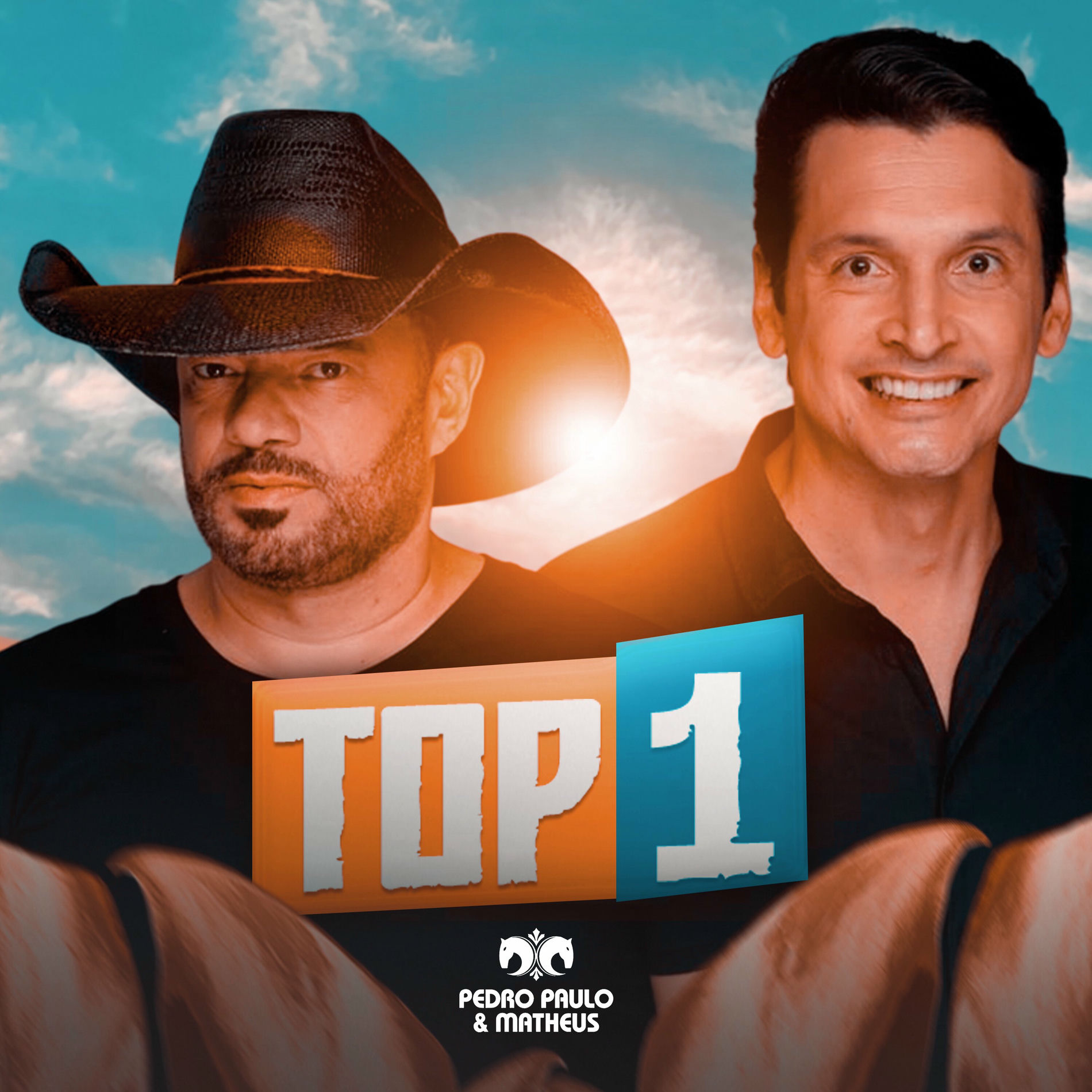 Album cover of Top 1