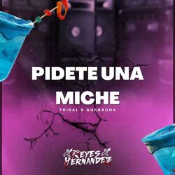 PIDETE UNA MICHE (Tribal x Guaracha)