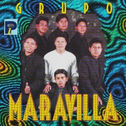 Cover of Grupo Maravilla