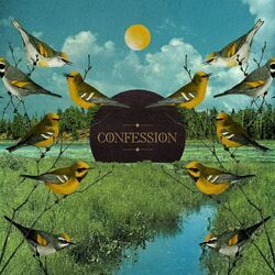 Cover of Confession
