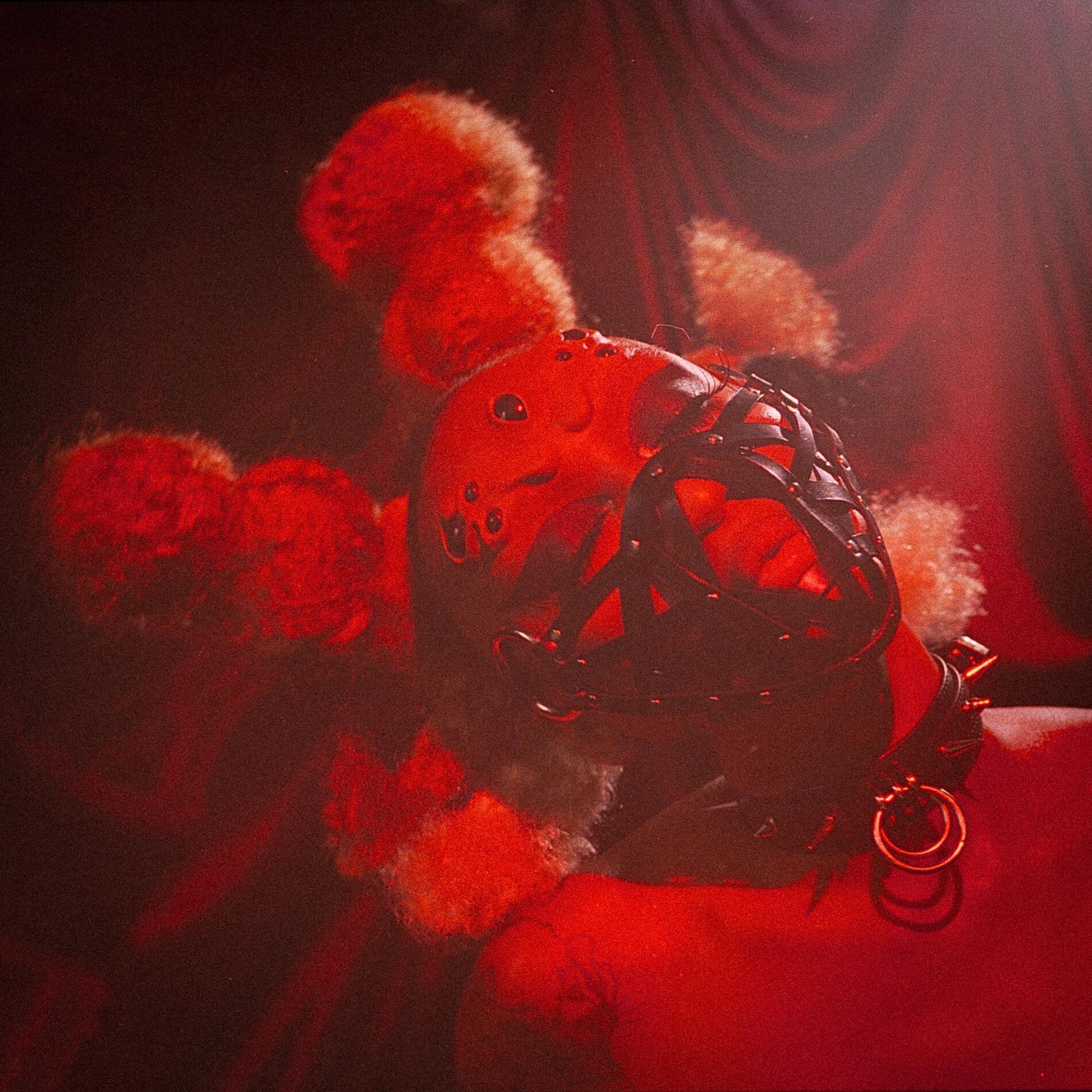 Album cover of Spiders