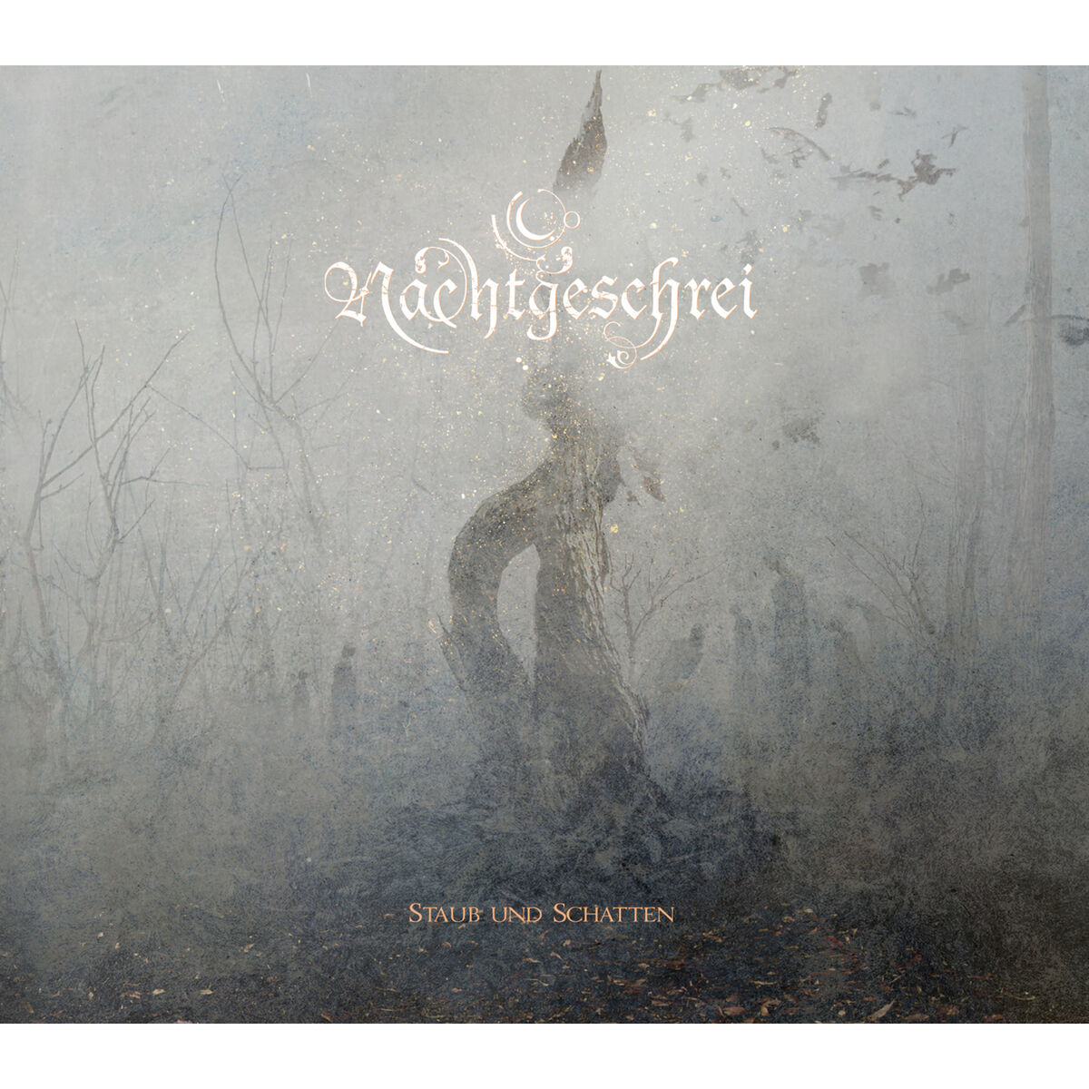 Album cover of Staub und Schatten