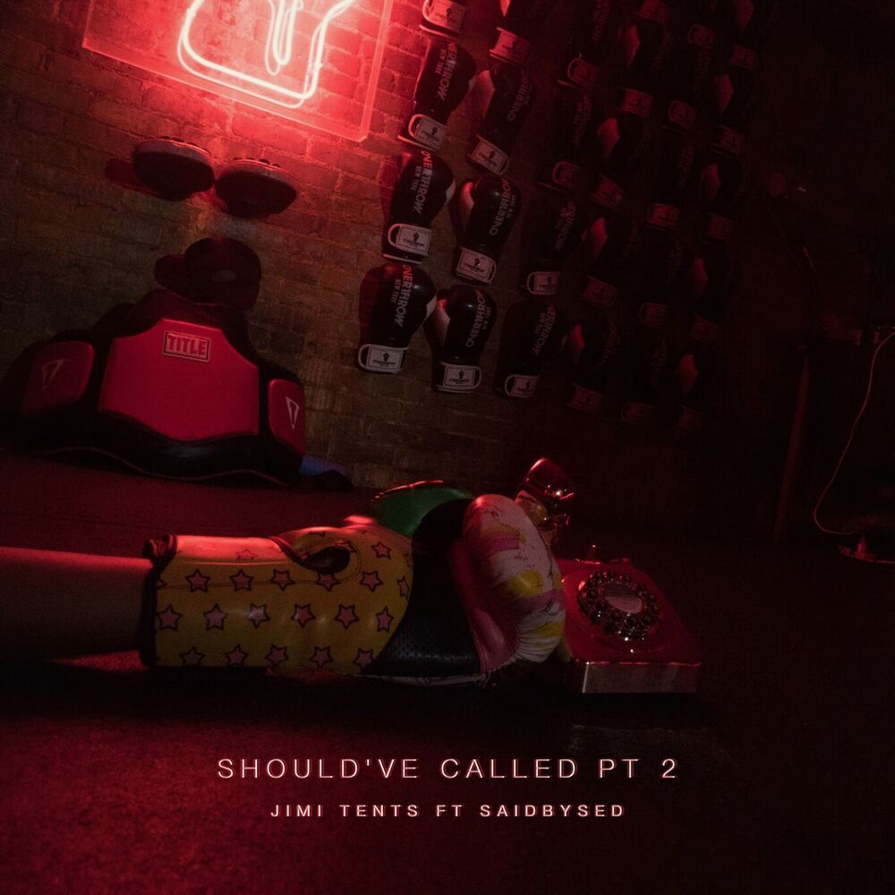 Picture of Should've Called, Pt. 2 (feat. Saidbysed)