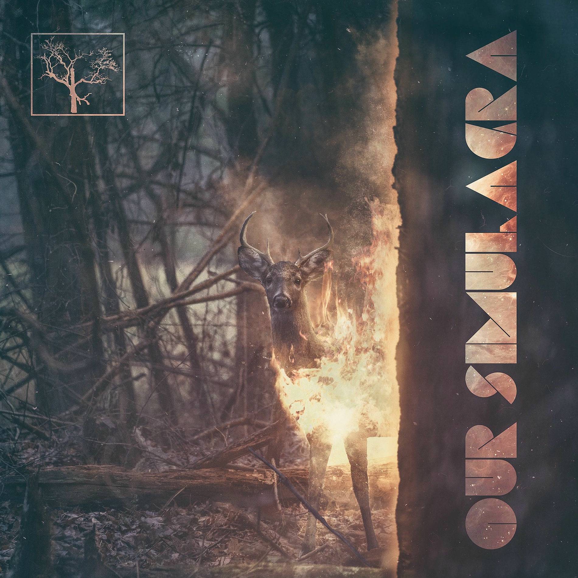 Album cover of Our Simulacra