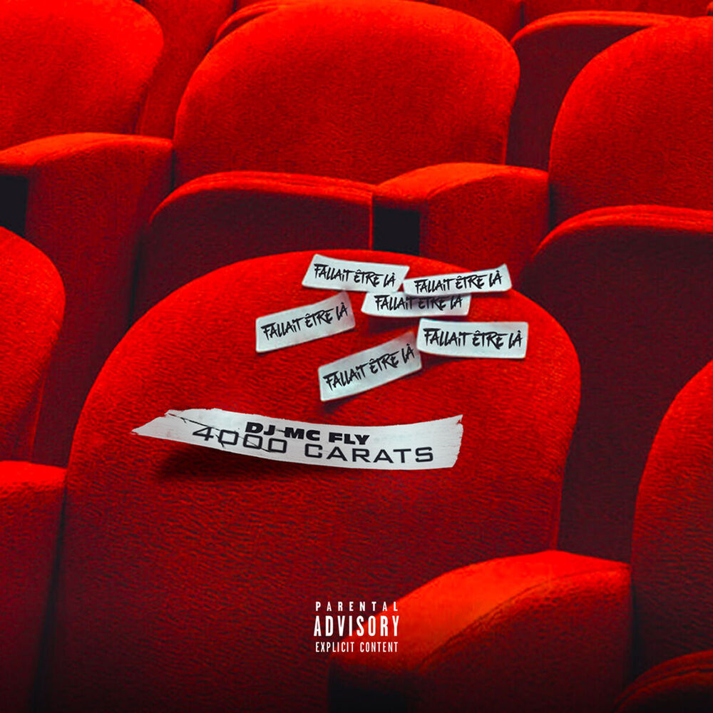 Picture of Fallait être là (feat. DJ Mac Fly)