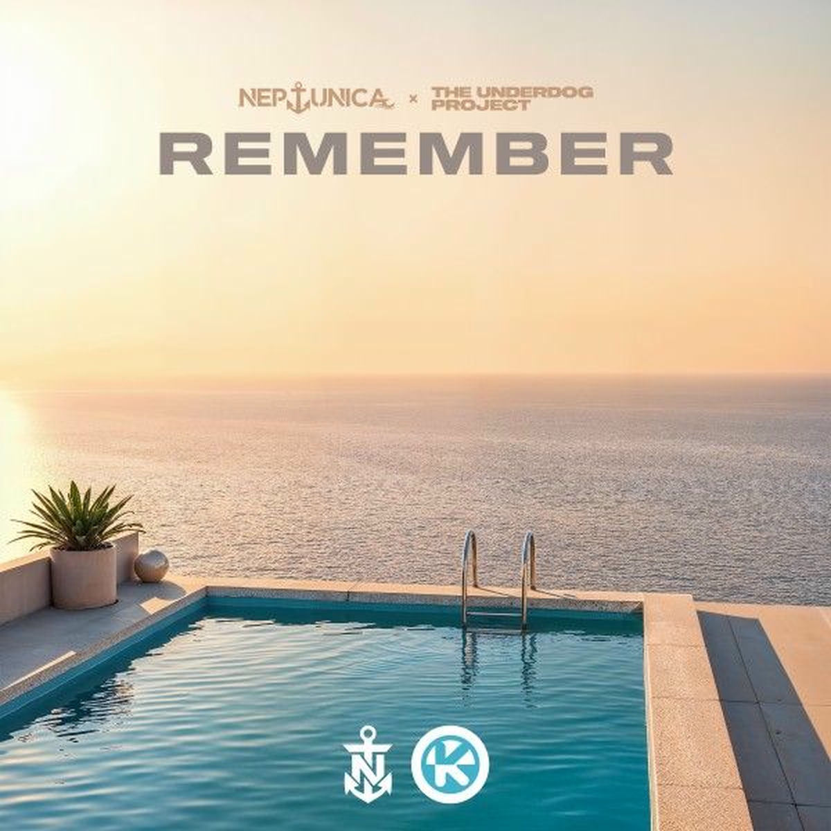 Album cover of Remember