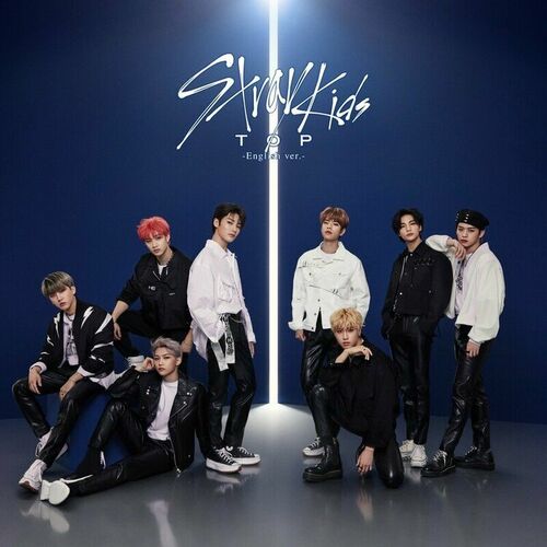 Stray Kids ALL IN ロンT LONG SLEEVE T-SHIRT【M】/ Stray Kids『Stray Kids World Tour