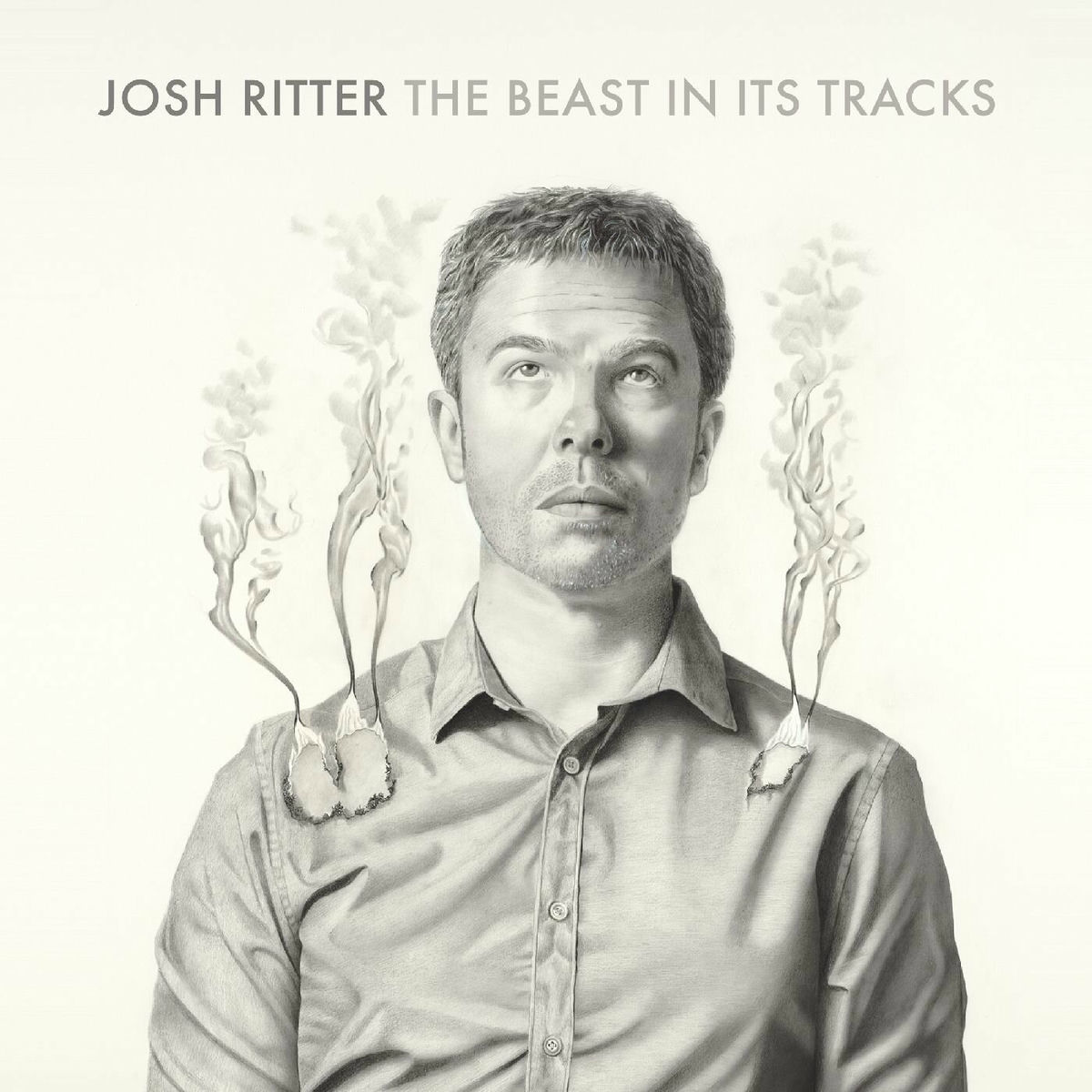 Album cover of Lights