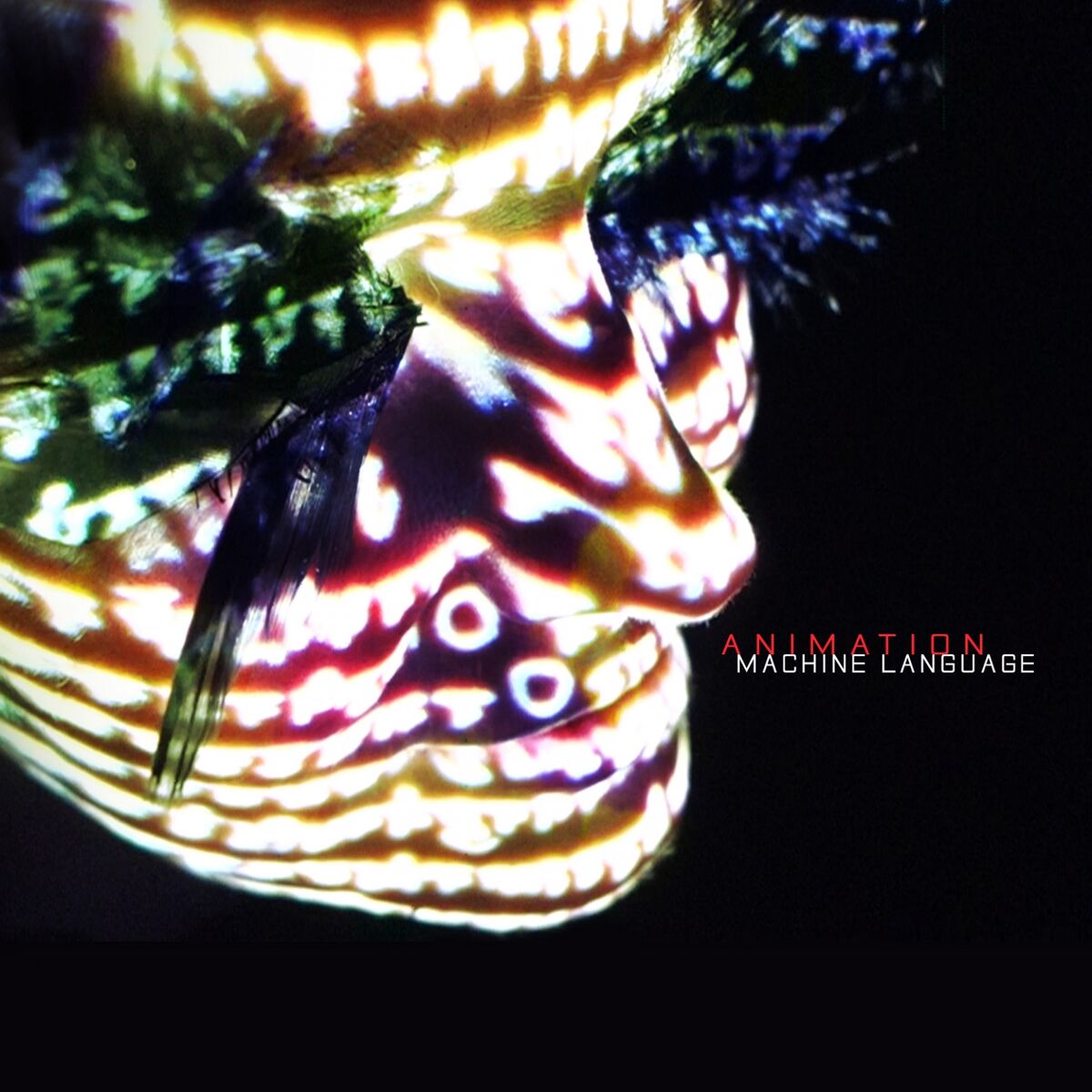 Album cover of Machine Language