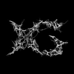 Cover of AWE